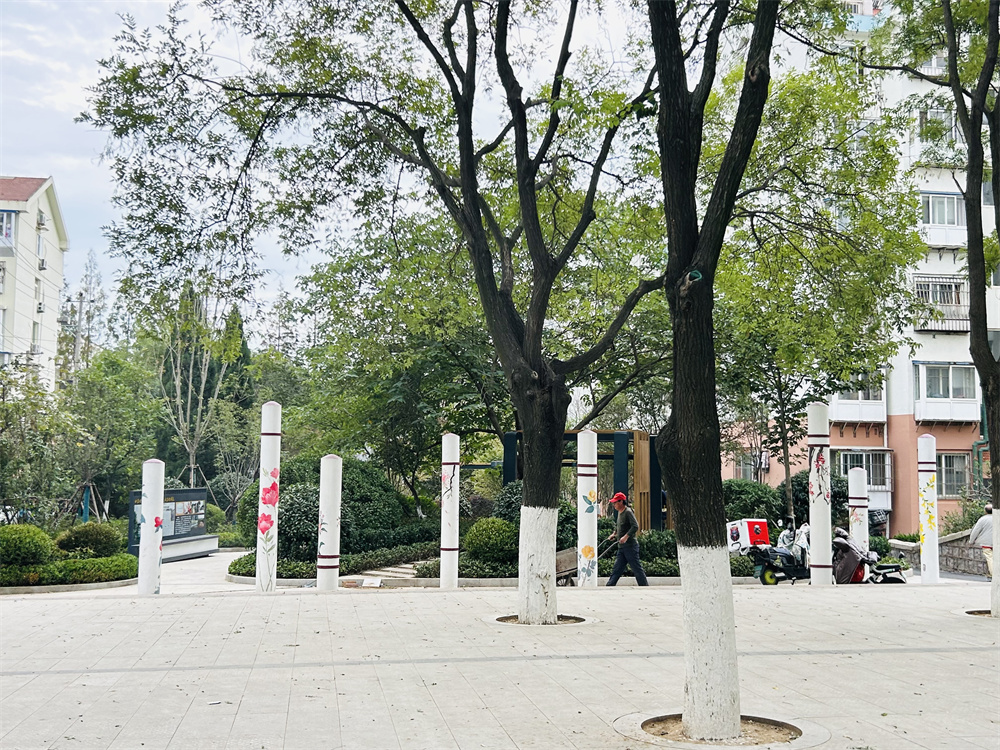 創(chuàng)新模式打造品質(zhì)社區(qū)——青島市永嘉路二片區(qū)老舊小區(qū)改造項目(圖14) 創(chuàng)新模式打造品質(zhì)社區(qū)——青島市永嘉路二片區(qū)老舊小區(qū)改造項目(圖14)